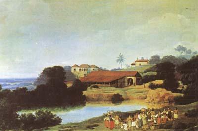 Frans Post Hacienda (mk08) china oil painting image